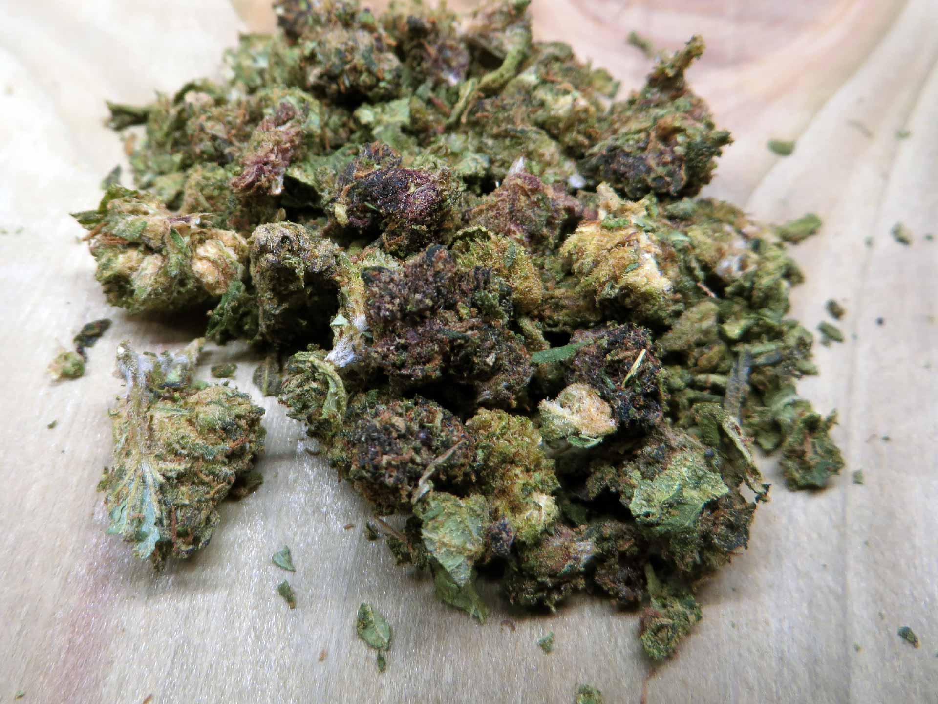Trim Critical (5% THCX)